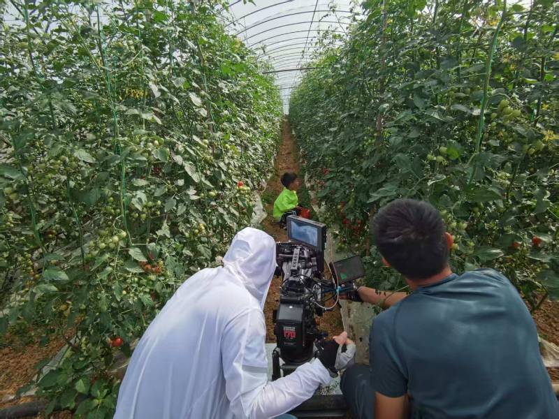 邻水县产品宣传视频拍摄公司进阶指南，助力品牌抢占传播高地